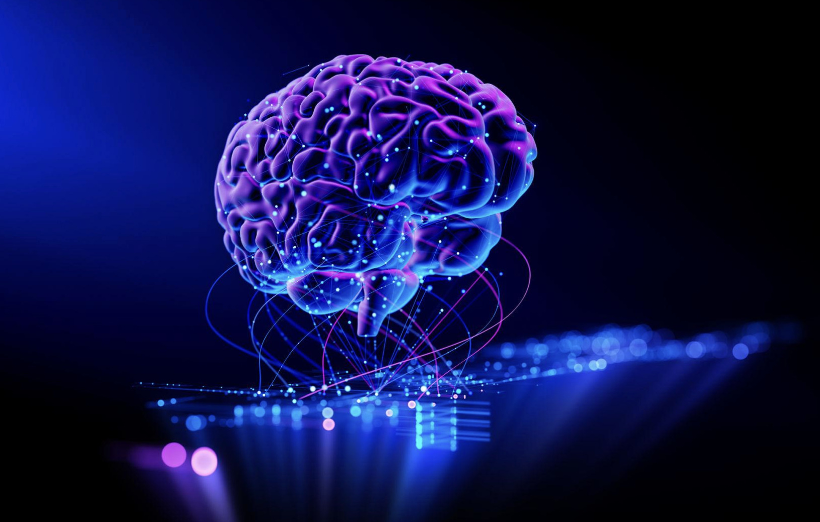 Questo produce un effetto preciso: l’illusione di completezza.